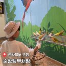 순창 앵무새팜 | [공지] 순창 가볼만한곳 순창 아이랑 하루 종일 놀기 좋은 '순창앵무새팜' 체험 후기