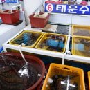 대운수산 | 경주 감포에 위치한 수협활어직판장 후기, 어느 업체가야할지 고민이라면? 6호 대운수산 추천드려요