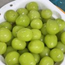 원씨네농장 이미지