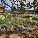 창평면사무소 이미지