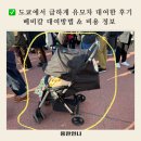 아기랑 도쿄에서 당일 유모차 대여한 후기! 베비칼 유모차 대여 방법 &amp; 가격 정리