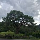 여우목로 이미지