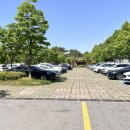 영산강 대상공원 주차장 이미지