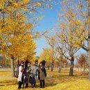 명품드림 이미지