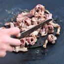 산꼼장어 이미지