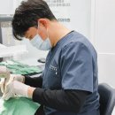 모든사 | 부천 사랑니 발치? 서울에 있는 치과로 올라와서 발치받으시는 이유 <전문의 칼럼>