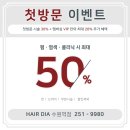 정민 제2농장 | 수원역 미용실 헤어다이아 수원역점 정민실장 극손상모 부시시 탈출