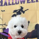 다우리유치원 이미지