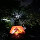 참나무숲오토캠핑장 이미지