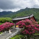 표충사 2 이미지