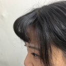 모리스앤코 주식회사 | 후크롤 독일제 프리미엄 헤어롤 - 구르프 추천