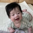 아띠솔 | 아기 배냇머리 셀프 이발 & 아띠래빗 바리깡 사용후기