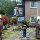 완월동241 이미지