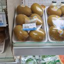 지비인터내셔날 | 통일 요청은 정중하게 DM으로 부탁드립니다