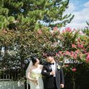 달콤한펜션 | 양양 트리플펜션 야외 결혼식 본식스냅 '더달콤한웨딩' 가성비 고퀄 촬영후기