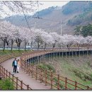 충주(양평) 이미지