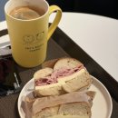 학동논현 베이커리카페 브런치 베이글맛집 쉬즈베이글 랩