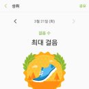 꼼꼬기