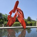 원주곤충마을박물관 | 강원 원주 여행 - 뮤지엄산, 원주곤충마을박물관, 국립강원전문과학관