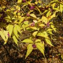 나무와 친해지기 이미지