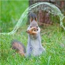 한글초급 네이버블로그