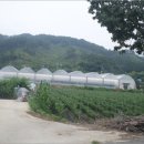 청양군장평면미당보건진료소 이미지