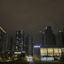 한국체육대학교(도서관앞) 네이버블로그