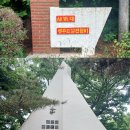 산성꽃