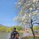 아름다운동행(아동)과 다시찾은 하동 1박2식 (2025.04.11~2025.04.12) 이미지