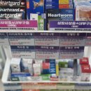 허동물약국 이미지