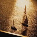 신진펜션호텔 이미지