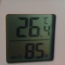 마지막 더위와 함께 한 울산 강동몽돌해변 백패킹 후기(25.9.16-18) 이미지