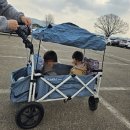 11545-10-22-33 | 33개월 22개월 아들 둘과 에버랜드 로스트밸리 워킹사파리 금요일 방문 후기!