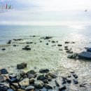 서천 다사항 펜션 이미지