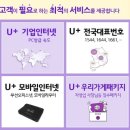 개인화물3542 이미지