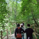 곰배령 주니네 이미지