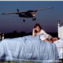 헬스원약국 | [롯데헬스원] 불면증 해소하고 꿀잠으로 숙면하게 해준 꿈속으로~ 양백마리