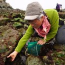 송도호민박 이미지