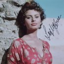 헐리웃 스타, 소피아 로렌(Sophia Loren) 이미지