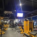 이리스 피트니스 | 니짐내짐앱) HMSfitness 호매실휘트니스 이용후기