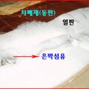 맥섬석으로 사는 사람들 이미지