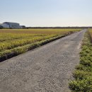 신망목장 이미지