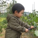 곤이 농장 이미지