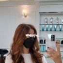 닛시헤어 이미지
