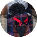 이윤세 동물병원 이미지