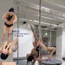 다이어트 댄스2 | 폴댄스가 다이어트 되나요?: 오하운 폴댄스 내돈내산 후기(전문가2급)