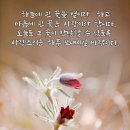 공경 Daum카페