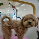 꾸미멍 이미지
