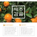 란케이크 이미지