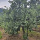 마리면-33 이미지